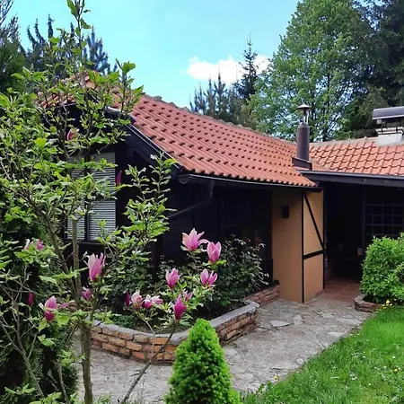 Janjic זלאטיבור