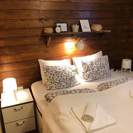 Janjic זלאטיבור