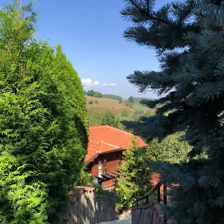 Apartament Janjic Zlatibor